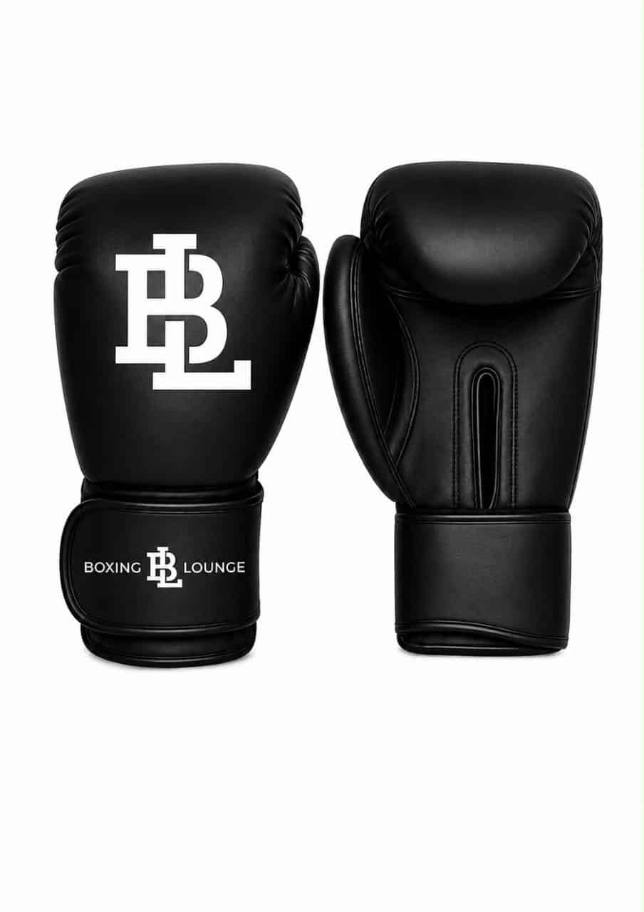 Sparring Gloves BXG LNG 16oz
